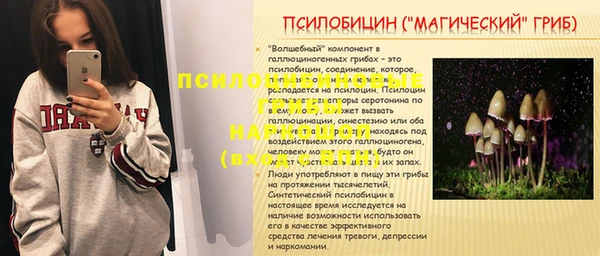 дурь Алзамай