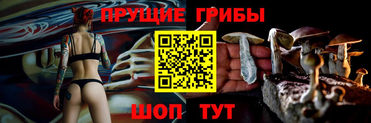 Псилоцибиновые грибы прущие грибы  Вход с VPN  Югорск  Псилоцибиновые грибы мухоморы 